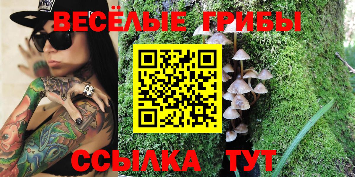 Псилоцибиновые грибы мухоморы  Вход с VPN  Дубна 