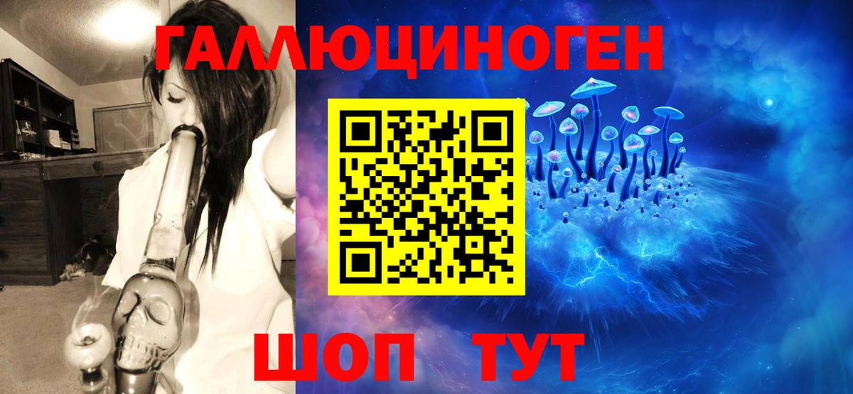 Галлюциногенные грибы Psilocybe Дубна
